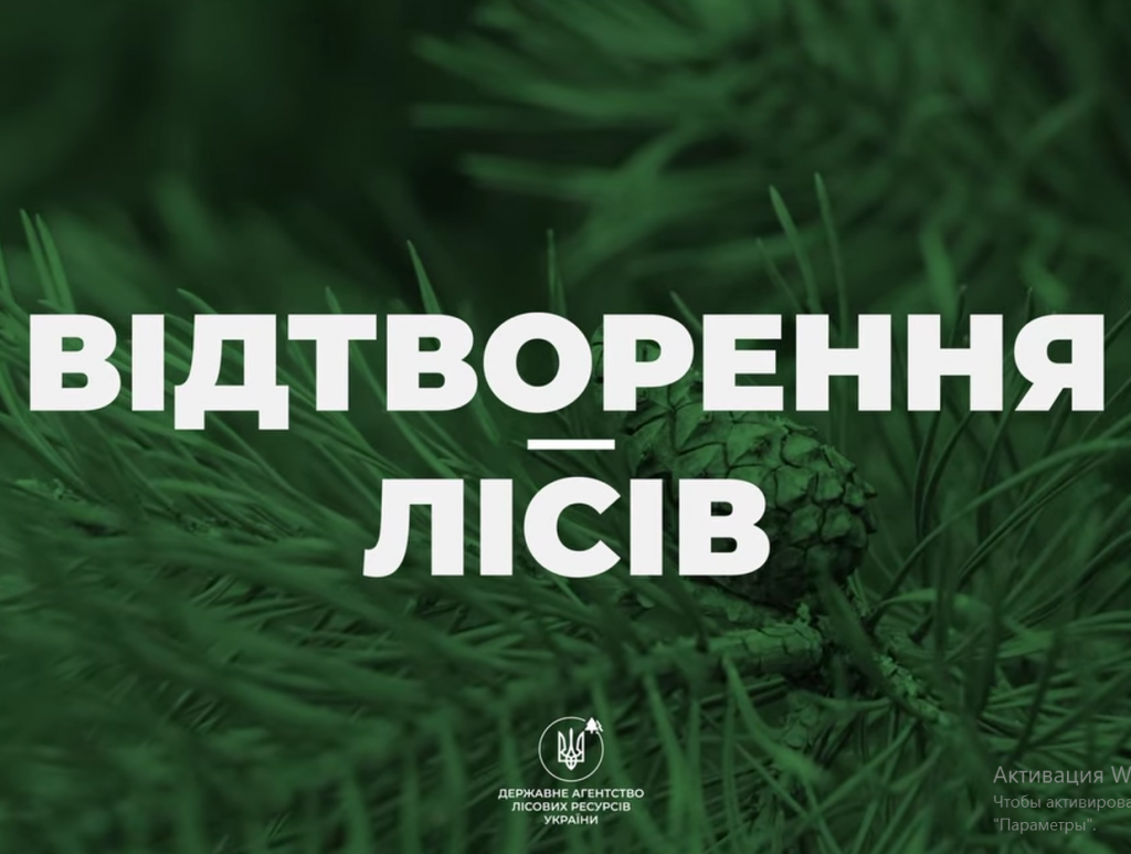 Снимок экрана 2025-05-22 115348