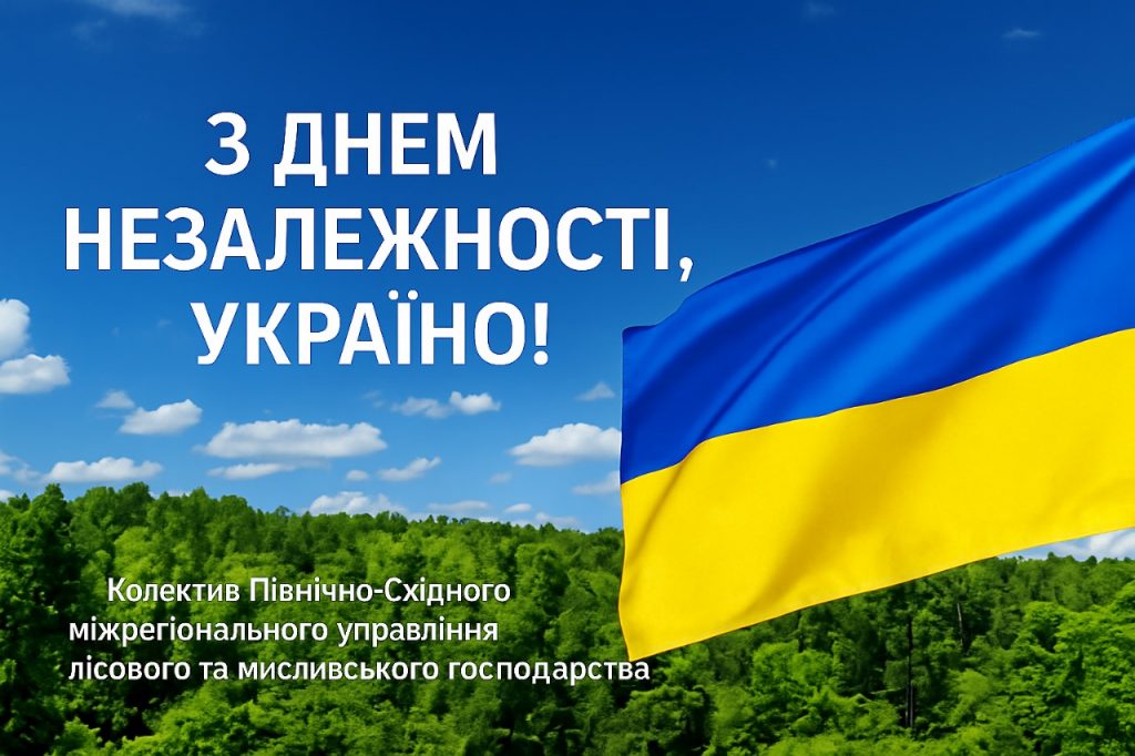 Зображення WhatsApp, дата_ 2025-08-22 о 15.05.55_e4532eae