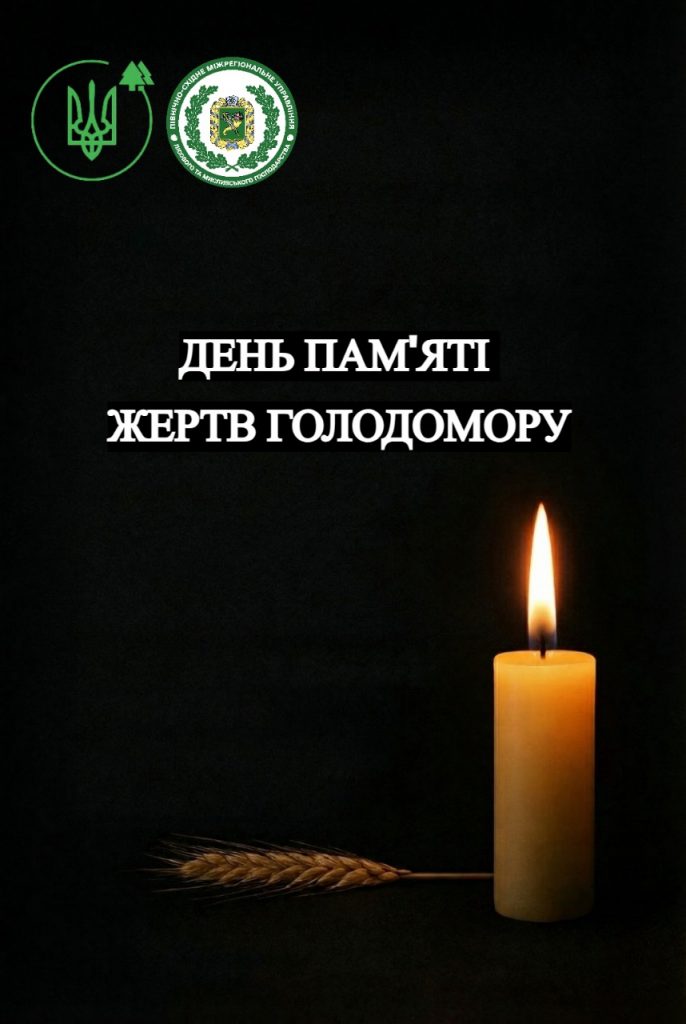 WhatsApp Image 2025-11-21 at 13.50.23