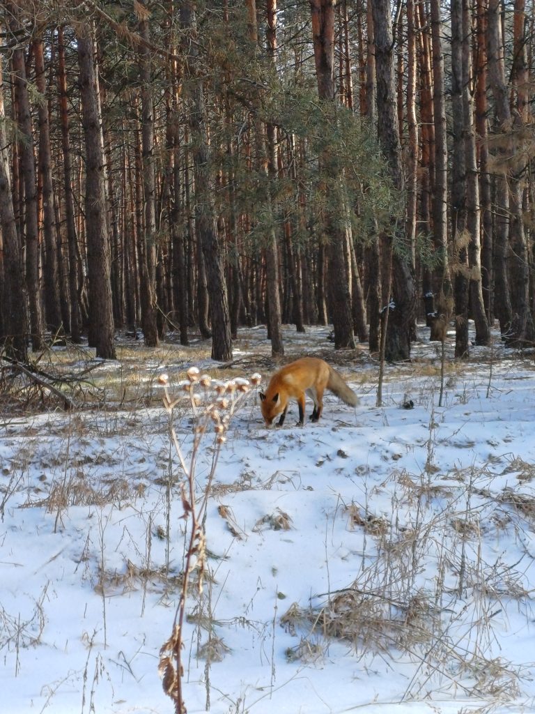 1000059936 1000059936