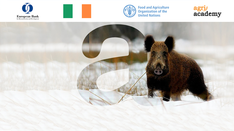 зображення_viber_2026-02-12_16-48-52-455